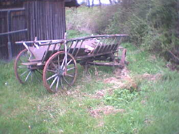 2002 - Stetten-Hechingen auf der Wanderstrecke gesichtet