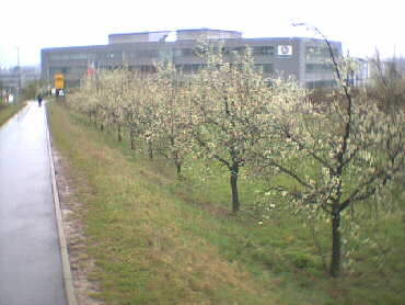 2002 - Herrenberg-Gltstein - auf der Wanderung