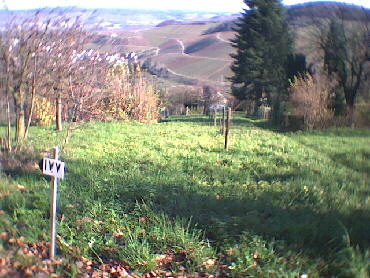 (c)2002 KPKproject - IVV-Wanderung  - Kernen i.R.