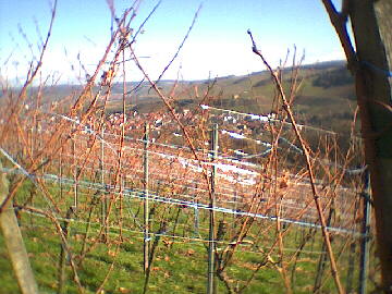 (c)2002 KPKproject - IVV-Wanderung  - Kernen i.R.