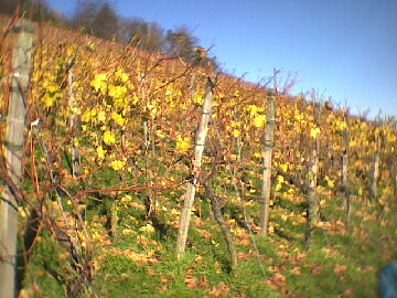 (c)2002 KPKproject - IVV-Wanderung  - Kernen i.R.