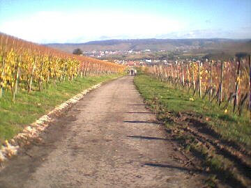 (c)2002 KPKproject - IVV-Wanderung  - Kernen i.R.