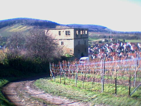 (c)2002 KPKproject - IVV-Wanderung  - Kernen i.R. - Y-Burg