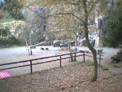 2001 Kernen i.R. - ein Blick zurck auf den Klettergarten