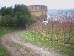 2001 Kernen i.R. - die Y-Burg erreicht