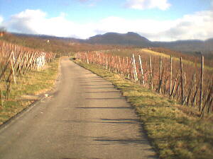 2001 Metzingen