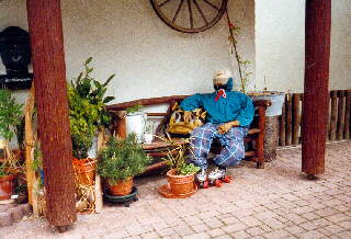 Onstmettingen - ein Wanderer oder eher Schnelllufer von vergangenem Jahr auf langer Rast?
