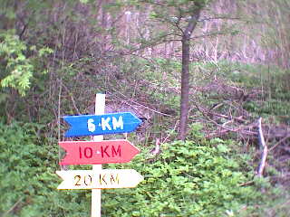 2002 - Onstmettingen - Auf der Strecke