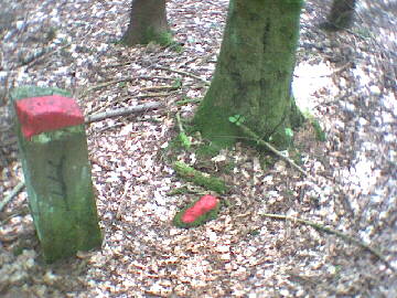 (c)2002 KPKproject - Rotfelden