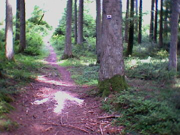 (c)2002 KPKproject - Rotfelden