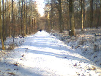 2002 Riederich