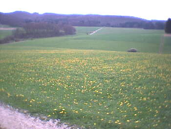 2002 - Rmerstein-Bhringen