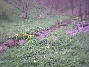 2002 - Rmerstein-Bhringen