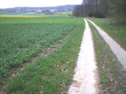 2002 - Rmerstein-Bhringen