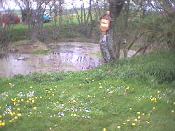 2002 - Rmerstein-Bhringen