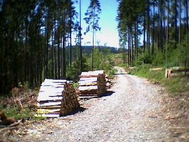 Rotfelden - 22.07.2001 - IVV-Wanderung