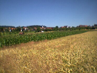 Rotfelden - 22.07.2001 - IVV-Wanderung
