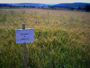 Rotfelden - 22.07.2001 - IVV-Wanderung
