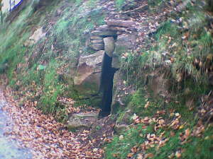 Schmberg - IVV-Weitwanderweg auf der Strecke-9