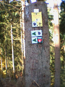 Schmberg - IVV-Weitwanderweg auf der Strecke-9