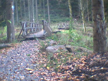 Schmberg - IVV-Weitwanderweg auf der Strecke-9