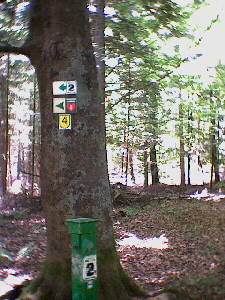 Schmberg - IVV-Weitwanderweg auf der Strecke-2