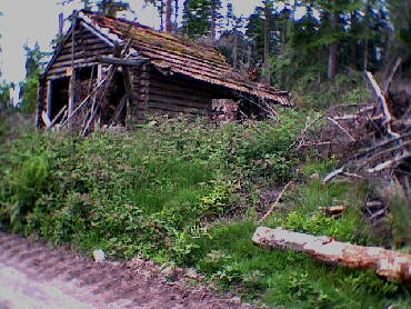15.06.2001 - Schmberg - beim ersten Kontrollpunkt: die Erinnerung an Orkan Lothar