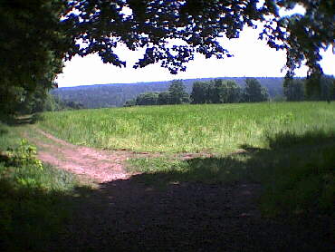 15.06.2001 - Schmberg - nach dem dritten Kontrollpunkt ein wirklich neuer Ausblick die Strecke wird NEU !