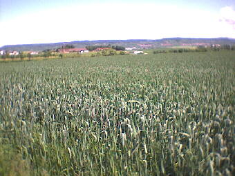 (c)2002 KPKproject - Tailfingen im Gu