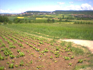 (c)2002 KPKproject - Tailfingen im Gu