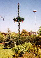 Gufelden-Tailfingen - im Vorgarten einer Neubausiedlung (Altingen) der eigene Maibaum - sehenswert!!!