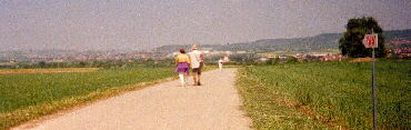 Gufelden-Tailfingen - im Hintergrund die Skyline von Herrenberg