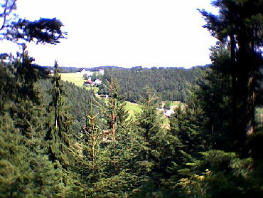 Tennenbronn - Aussichten!