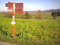 Tuningen/fingen - unterwegs