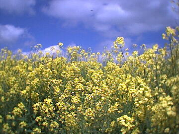 (c)2002 KPKproject - Tuningen-2002