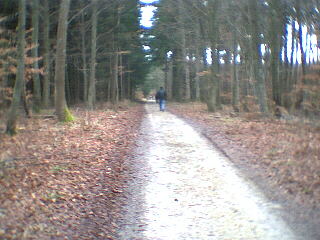 2002 Upfingen - zwischen Wald und Feld
