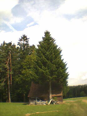 Schmberg - IVV-Weitwanderweg auf der Strecke-3