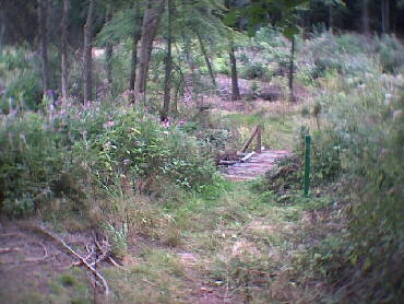 Schmberg - IVV-Weitwanderweg auf der Strecke-3 - Kontolle 3.2