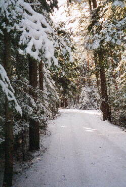 Schmberg - Weitwanderweg Strecke-1 am 27.02.2001