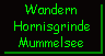 Rundwanderung Hornisgrinde und Mummelsee