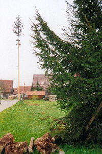 08.05.2001 - Maibaum in Igelsloch