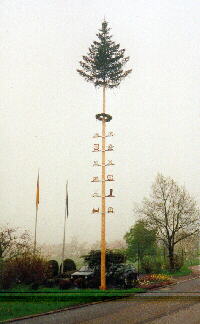 08.05.2001 - Maibaum in Oberlengenhardt