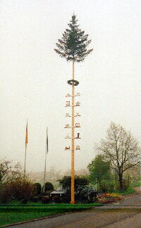 08.05.2001 - Maibaum in Oberlengenhardt