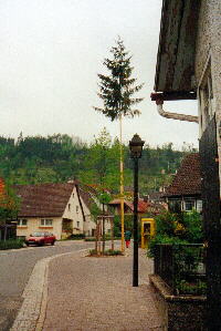 08.05.2001 - Maibaum in Bad Imnau