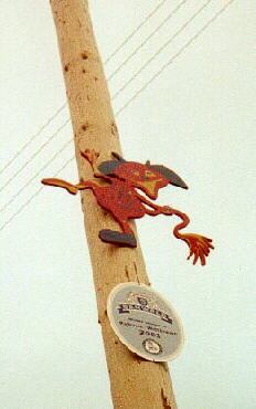 08.05.2001 - Maibaum in Mtzingen