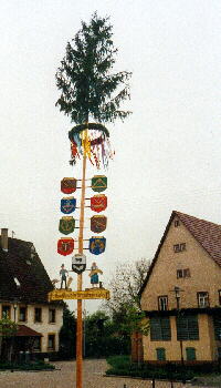 08.05.2001 - Maibaum in Weitingen