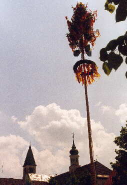 Maibaum mit Kletterseil auf der Zollernalb entdeckt