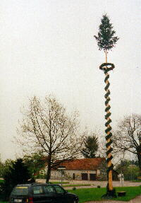 08.05.2001 - Maibaum in Maisenbach-Zainen