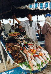 Essaouira am Hafen