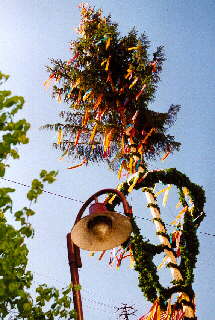 05.2001 - Maibaum in Mhringen